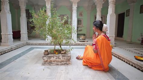 kerala tulsi full video|Indian tulsi Stock Videos & Footage .